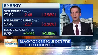 Sen. Tom Cotton targets ESG investing: BlackRock is a 'climate cartel'