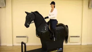 The Riding Simulator.MOV