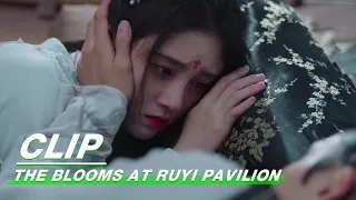 Clip: Duke Expresses Love To Ju Jingyi After Drunk | The Blooms At RUYI Pavilion EP21 | 如意芳霏 | iQIYI