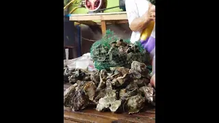 The Oyster Capital of Negros Occidental | Hinigaran