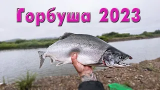 Горбуша как из бочки 2023. Рыбалка превзошла все ожидания!