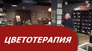 Цветотерапия