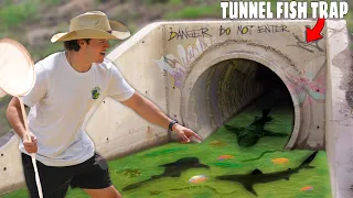 I Found A Tunnel FILLED With Aquarium FISH!