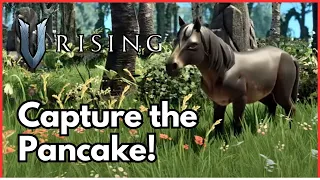 New V Rising Mod "Pancake" by V Arena Looks Nuts!