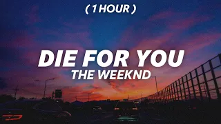 [ 1 Hour ] The weeknd - die for you (sped up)