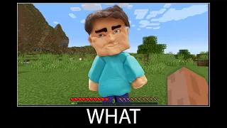 Minecraft wait what meme part 137 realistic minecraft Steve