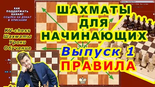 ШАХМАТЫ УРОКИ ОБУЧЕНИЕ ДЛЯ НАЧИНАЮЩИХ онлайн ВИДЕО 1 Шахматные правила игры НАУЧИТЬСЯ САМОСТОЯТЕЛЬНО