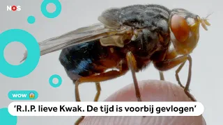 Vlieg van Freek Vonk is dood: 'Het avontuur is voorbij'