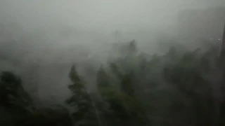 Ураган в Нижнем Тагиле