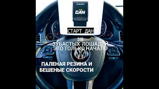 чип тюнинг TOUAREG NF 3.6 (VR6 FSI) - прошивка на 249/280/300 л.с СТАРТ проекта "ИЗГОЙ ИДЁТ В БОЙ"