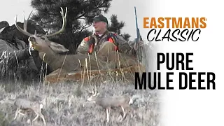 Pure Mule Deer - Montana Deer Hunting with Guy Eastman