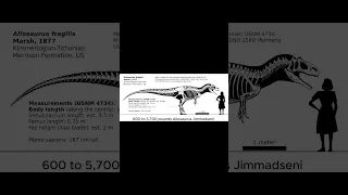 Prehistoric Fauna of the Jurassic Episode 1: Allosaurus. Watch full video above.