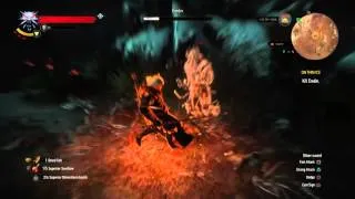 Geralt vs The Wild Hunt