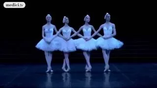 Funny Ballet!  We Love To Boogie
