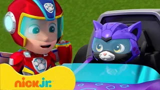 PAW Patrol | Neue Zusammenarbeit mit der Katzen-Bande und der Mini Patrol! | Nick Jr. Deutschland