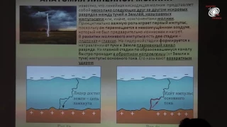 Петухов А.Б. Гипотеза о поражении деревьев линейными молниями на Медведицкой гряде