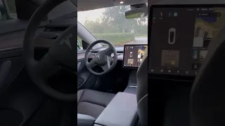 Tesla dirigindo sem motorista