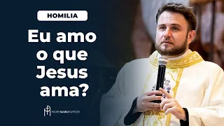 #HOMILIA Eu amo o que Jesus ama? | Padre Mario Sartori