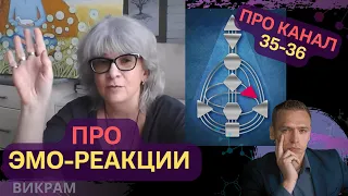 Про эмо-реакции.. про Сознание и кризис.. про канал 35-36