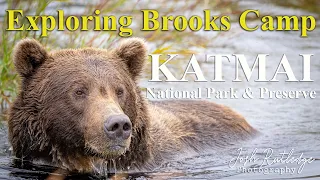 Visiting Brooks Falls in September - Katmai National Park