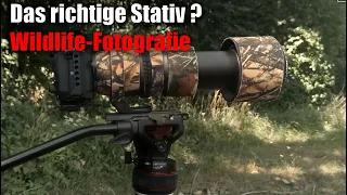 Das richtige Stativ für die Wildlifefotografie? Welches soll ich nutzen?