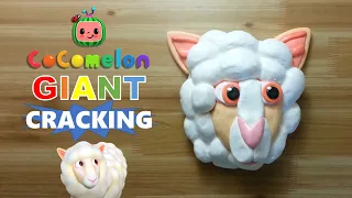 GIANT cocomelon baa baa white sheep clay cracking 거대 코코멜론 흰 양 점토 부수기