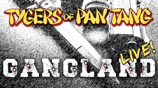 TYGERS OF PAN TANG - Gangland (live video)