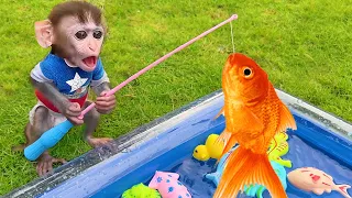 Baby Monkey Chu Chu go fishing and eat fruit with puppies in the garden