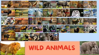 Wild Animals | Learn Wild Animal Names in English | #wildanimalsforkids