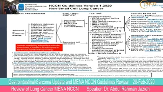 Review of Lung Cancer MENA NCCN Speaker: Dr. Abdul Rahman Jazieh