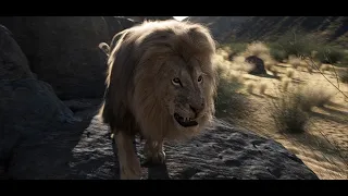 Beast: Final Lion Fight Scene