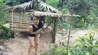 Buiding Skill: Beautiful Girl Build Bamboo House- Make Windows and Doors of House