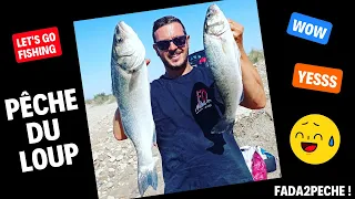 Pêche loup (bar) au leurre du bord en méditerranée, et quelles surprises !!