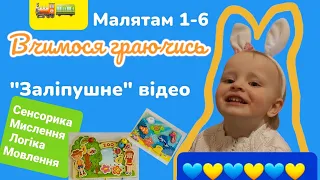 Дидактичні ігри з @Maniunia-Ewelinka. вчимося складати свої іграшки на місце