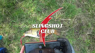 Охота с Рогаткой Трофейный Сазан SLINGSHOT FISHING