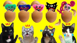 ¿Qué se esconde en el huevo de Mama de Huggy Wuggy en la vida real? Videos de gatos Luna y Estrella