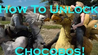 Final Fantasy XV - How to Unlock Chocobo Mount - Friends of a Feather Quest - Full Walkthrough