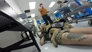 ADULTS INTERACTING WITH MY SERVICE DOG AND FAINTING