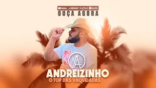 ANDREIZINHO O TOP DAS VAQUEJADAS 2024