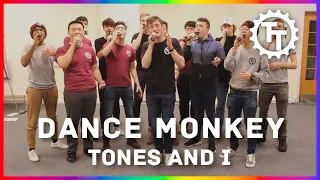 Dance Monkey (Tones and I) - The Techtonics [Live A Cappella]