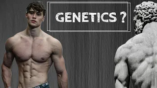 What Makes An Aesthetic Physique ?!