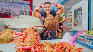 First Day in Morocco!! 🇲🇦 SPIDER CRAB + Moroccan Street Food in Casablanca!