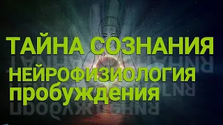 ТАЙНА СОЗНАНИЯ НЕЙРОФИЗИОЛОГИЯ ПРОБУЖДЕНИЯ 02