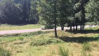 Loeb rallye Vosges 205 Turbo 16