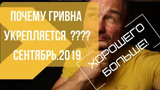 почему гривна укрепляется [ осень 2019]