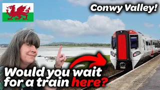 Conwy Valley Line - The second day got *even* better and gives me so much joy!