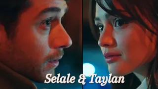 Selale & Taylan || The Turkish Culpa Mia