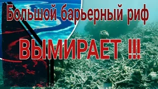 Катастрофа барьерного рифа. Обесцвечивание