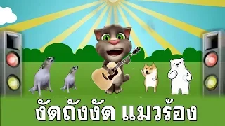 งัดถั่งงัด  เต้ย อธิบดินทร์ Cover แมวร้องเพลง ตลกอย่างฮ่า