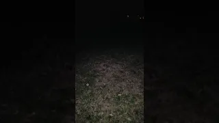 STRANGE AND TERRIFYING NOISES COMING FROM MY BACKYARD